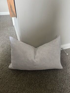 Pillow Insert (Feather)